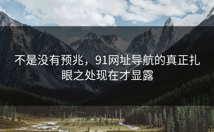 不是没有预兆,91网址导航的真正扎眼之处现在才显露 不是没有预兆,91网址导航的真正扎眼之处现在才显露